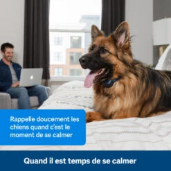PetSafe ANTI ABOIEMENT SONORE RECHARGEABLE -Camping Randonnée Magasin anti aboiement sonore rechargeable 2