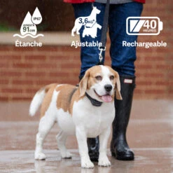PetSafe ANTI ABOIEMENT SONORE RECHARGEABLE -Camping Randonnée Magasin anti aboiement sonore rechargeable 3