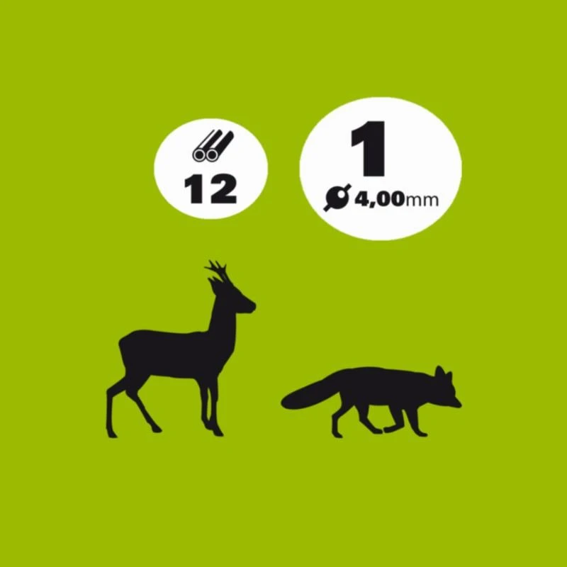 CARTOUCHE CHEVREUIL 38g CALIBRE 12/70 PLOMB N°1 X10 CARTOUCHE CHEVREUIL 38g CALIBRE 12/70 PLOMB N°1 X10 -Camping Randonnée Magasin cartouche chevreuil 38g calibre 1270 plomb n1 x10 1