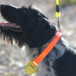 Cloche ALP Jaune -Camping Randonnée Magasin cloche alp jaune 2