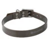Collier Chien Noir 500 -Camping Randonnée Magasin collier chien noir 500