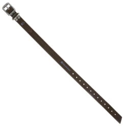 Collier Chien Noir 500 -Camping Randonnée Magasin collier chien noir 500 4