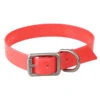 Collier Chien Rouge 500 -Camping Randonnée Magasin collier chien rouge 500