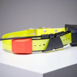 Collier Supplémentaire De Repérage Pour Chien Garmin T5X 8 Collier Supplémentaire De Repérage Pour Chien Garmin T5X -Camping Randonnée Magasin collier supplementaire de reperage pour chien garmin t5x 6