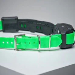 Collier Supplémentaire Repérage Et Dressage Pour Chien Dogtra Pathfinder -Camping Randonnée Magasin collier supplementaire reperage et dressage pour chien dogtra pathfinder 2