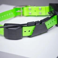 Collier Supplémentaire Repérage Et Dressage Pour Chien Garmin TT15X -Camping Randonnée Magasin collier supplementaire reperage et dressage pour chien garmin tt15x 5