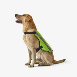 GILET CHIEN CHASSE JAUNE 100 -Camping Randonnée Magasin gilet chien chasse jaune 100 1