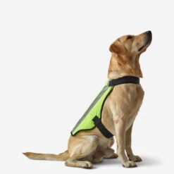 GILET CHIEN CHASSE JAUNE 100 -Camping Randonnée Magasin gilet chien chasse jaune 100 2