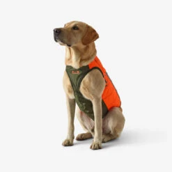 Gilet De Protection Pour Chien Supertrack -Camping Randonnée Magasin gilet de protection pour chien supertrack 3