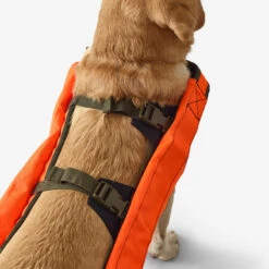 Gilet De Protection Pour Chien Supertrack -Camping Randonnée Magasin gilet de protection pour chien supertrack 4