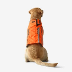Gilet De Protection Pour Chien Supertrack -Camping Randonnée Magasin gilet de protection pour chien supertrack 5