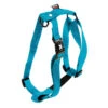 Harnais Confort Chien Bleu Turquoise -Camping Randonnée Magasin harnais confort chien bleu turquoise