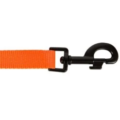 Laisse Chien Orange 100 -Camping Randonnée Magasin laisse chien orange 100 5