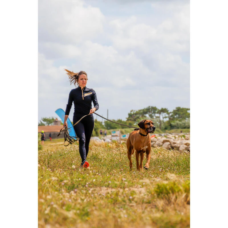 Longe pour chien 10 mètres 100 verte Longe Pour Chien 10 Mètres 100 Verte -Camping Randonnée Magasin longe pour chien 10 metres 100 verte 1