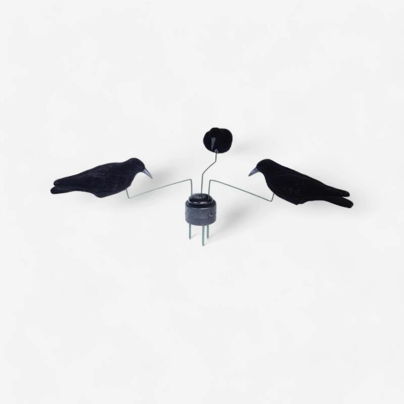 MANÈGE À CORBEAUX MANÈGE À CORBEAUX -Camping Randonnée Magasin manege a