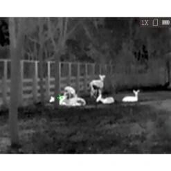 HikMicro Monoculaire De Vision Thermique Hik Micro Lynx Pro LE10 -Camping Randonnée Magasin monoculaire de vision thermique hik micro lynx pro le10 7