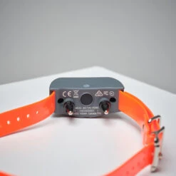 Pack Collier + Télécommande De Dressage Pour Chien Sportdog SD-875 -Camping Randonnée Magasin pack collier telecommande de dressage pour chien sportdog sd 875 2