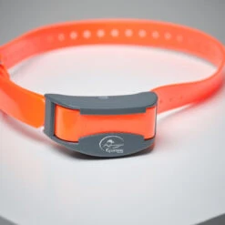 Pack Collier + Télécommande De Dressage Pour Chien Sportdog SD-875 -Camping Randonnée Magasin pack collier telecommande de dressage pour chien sportdog sd 875 3