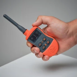 Pack Collier + Télécommande De Dressage Pour Chien Sportdog SD-875 -Camping Randonnée Magasin pack collier telecommande de dressage pour chien sportdog sd 875 7