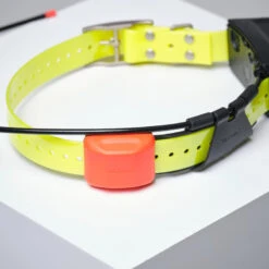 PACK COLLIER + TÉLÉCOMMANDE DE REPÉRAGE/DRESSAGE CHIEN GARMIN ALPHA 200 T5X -Camping Randonnée Magasin pack collier telecommande de reperagedressage chien garmin alpha 200 t5x 7