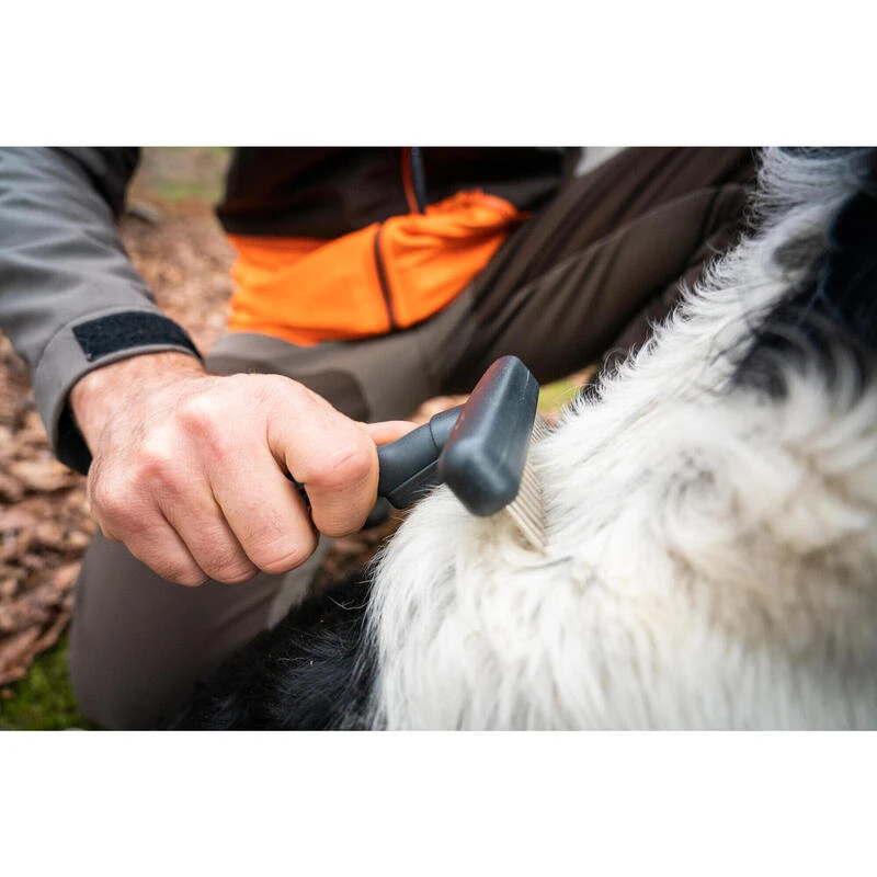 PEIGNE 37 DENTS POUR CHIEN No Brand PEIGNE 37 DENTS POUR CHIEN -Camping Randonnée Magasin peigne 37 dents pour chien 4