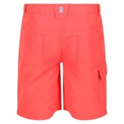 Regatta Sorcer II Short De Marche Pour Enfant - Orange -Camping Randonnée Magasin sorcer ii short de marche pour enfant orange 3